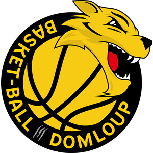 DOMLOUP BASKET